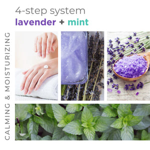 BCL Lavender + Mint 4-Step Trial Pack
