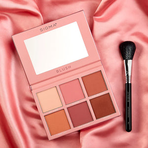 Sigma F10 Powder/Blush Brush - SAVE 20%*