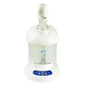 GD Mini Portable Facial Steamer*