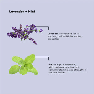 BCL Lavender + Mint Dead Sea Salt Soak (16 oz)