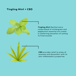 BCL Tingling Mint + CBD Massage Cream (64 oz)