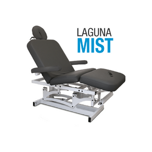 Lit de spa électrique Laguna Mist Silhouet-Tone (29")
