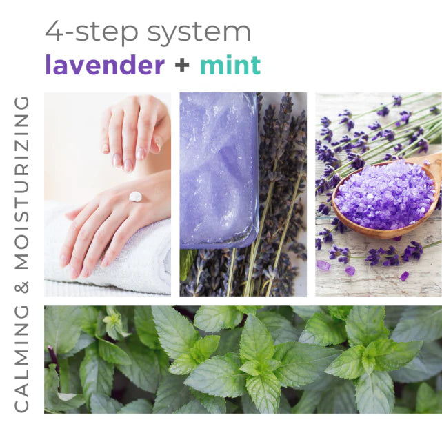 BCL Lavender + Mint Massage Cream (16 oz)