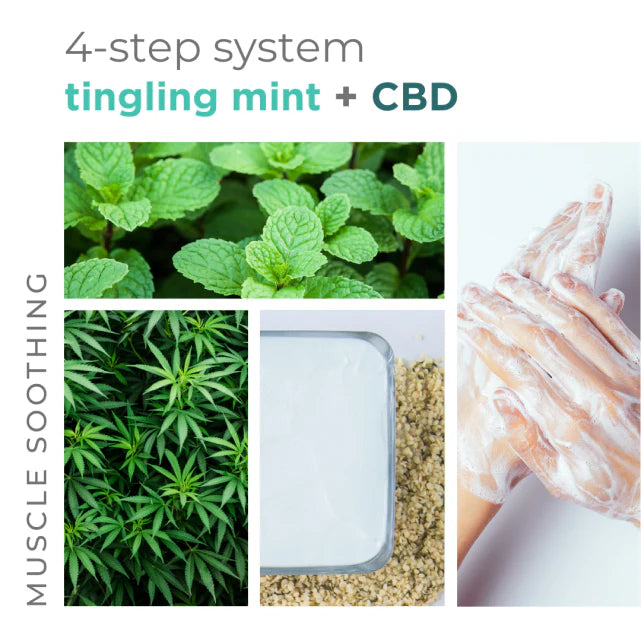 BCL Tingling Mint + CBD Massage Cream (16 oz)
