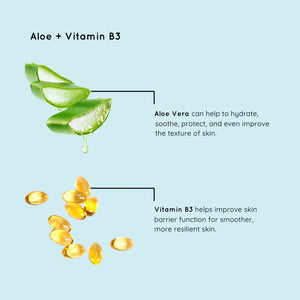 BCL Aloe + Vitamin B3 Makeup Removing Cleansing Wipes (60 pcs)