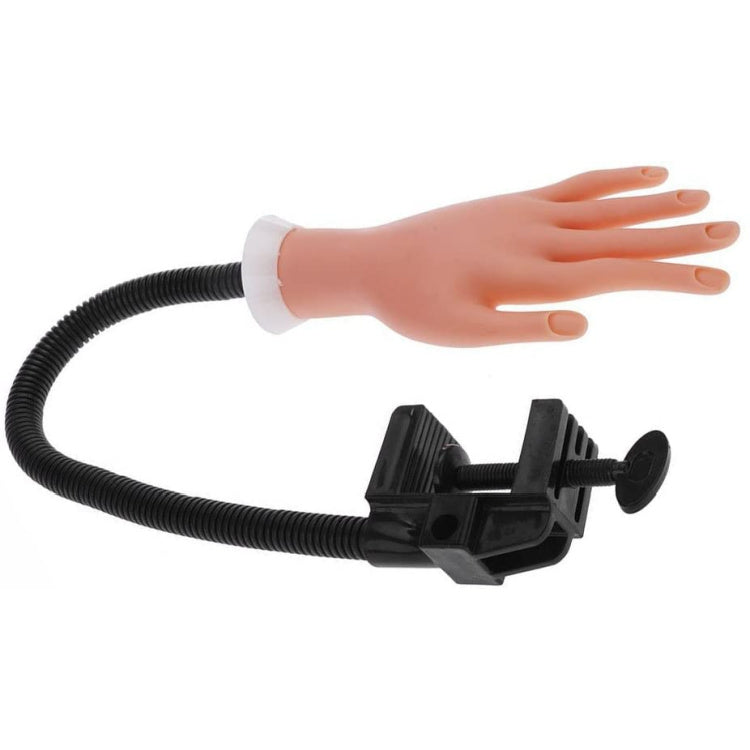 Practice Hand with Bracket - SAVE 70%*