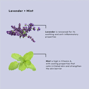 BCL Lavender + Mint Massage Cream (64 oz)