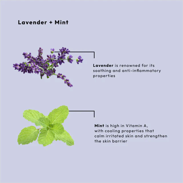 BCL Lavender + Mint Dead Sea Salt Soak (16 oz)