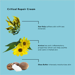 BCL Natural Remedy Critical Repair Sea Kelp Cream (7 oz)