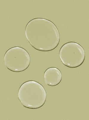 InSight LENITIVE Dermo-Calming Shampoo (350 ml)