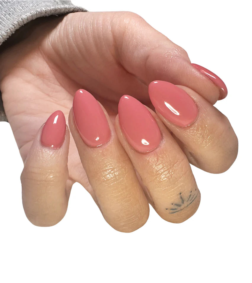Light Elegance ButterCream Color Gel 5 ml (Just Venting)