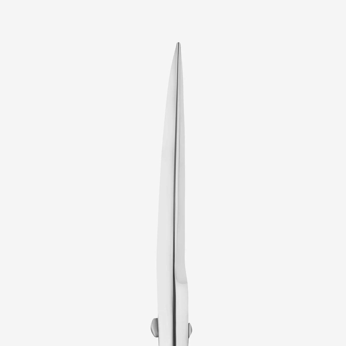 Staleks Eyebrow Scissors - Expert 30 | 1
