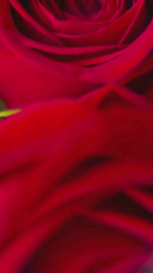 Revive7 Lip Serum 5 ml (Cherry)