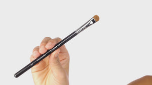 Sigma E55 Eye Shading Brush