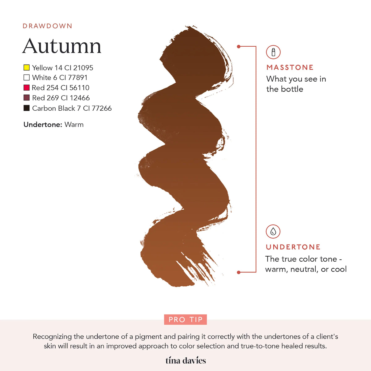 Tina Davies I &lt;3 INK Brow Pigment 15 ml (Autumn) - SAVE 15%*