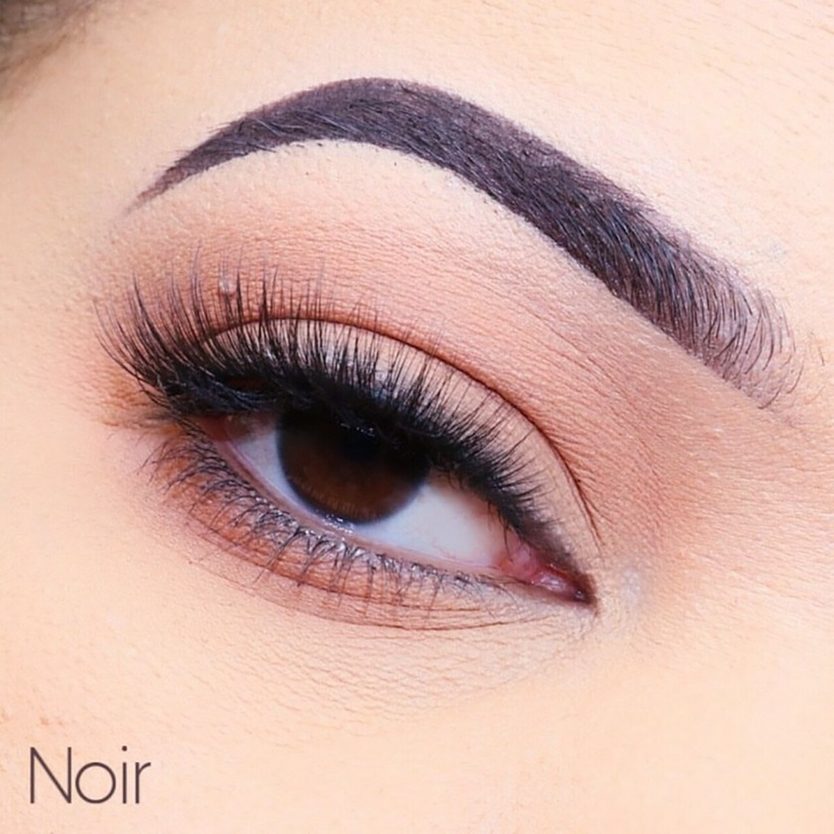 Cala 3D Faux Mink Strip Lashes (Noir) - SAVE 39%*