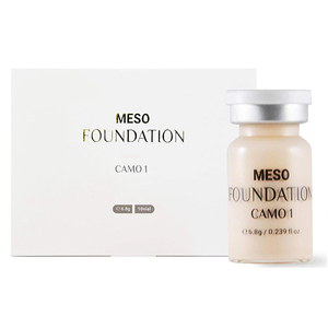 Fondation Meso (Camo 1)